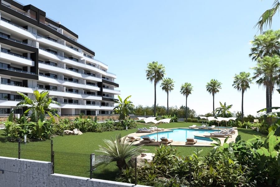 Nueva - Apartamento - San Miguel de Salinas - San Miguel - Pueblo