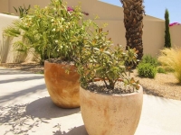 New - Detached Villa - La Marina - La Escuera