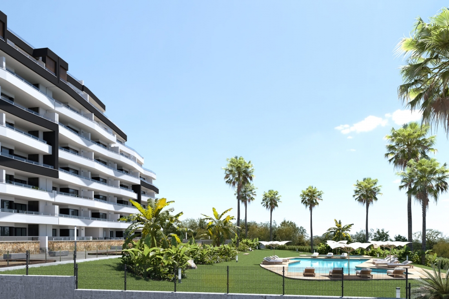 New - Apartment - San Miguel de Salinas - San Miguel - Town