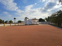 New - Country Property - Catral - Catral - Country