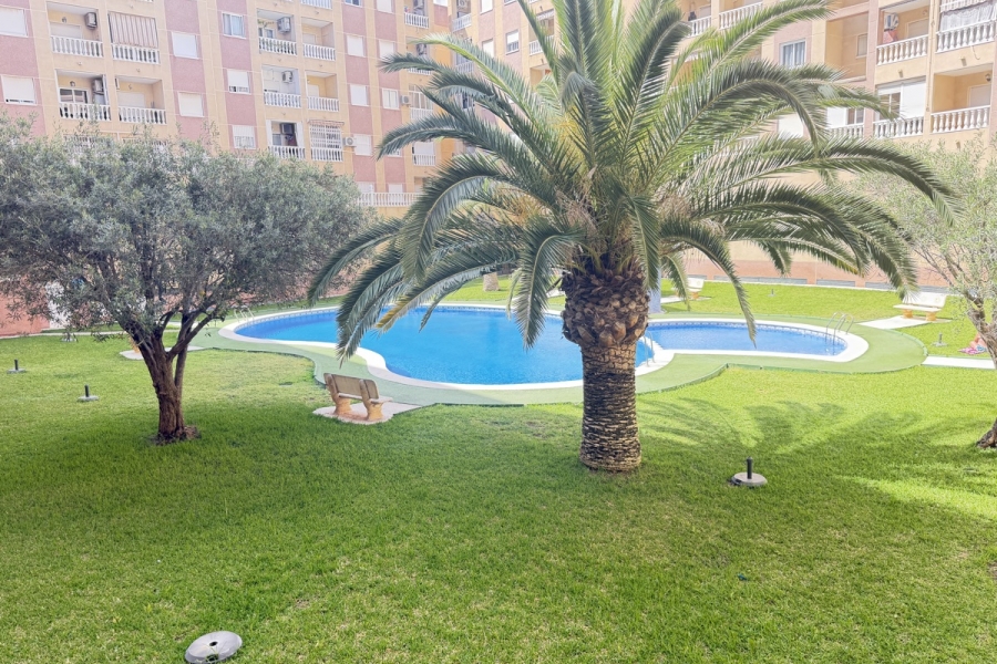 Re-Sale - Apartment - Torrevieja - Torrevieja - Centre