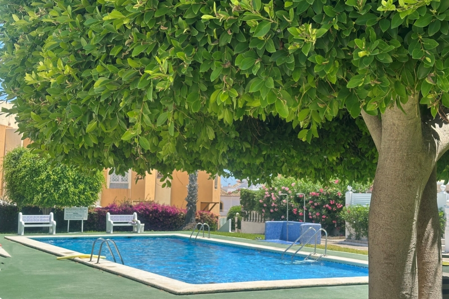 Re-Sale - Apartment - Torrevieja - Torre La Mata
