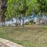 Re-Sale - Apartment - Orihuela Costa - Mil Palmeras