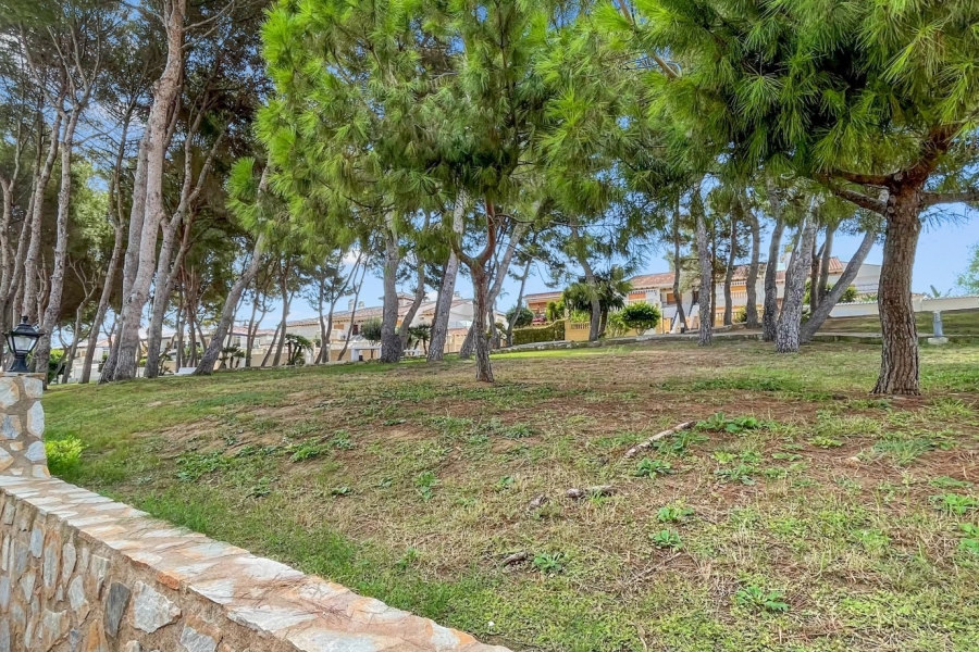Re-Sale - Apartment - Orihuela Costa - Mil Palmeras