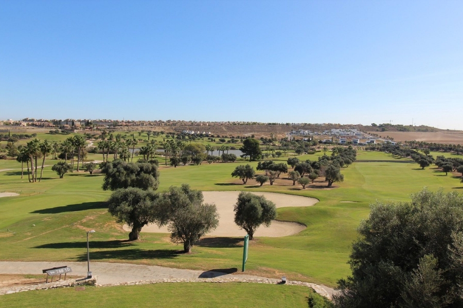 New - Detached Villa - Algorfa - La Finca Golf Resort