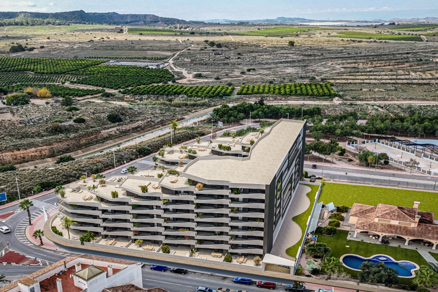 New - Apartment - San Miguel de Salinas - San Miguel - Town