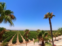 Re-Sale - Semi Detached Villa - Algorfa - La Finca Golf Resort