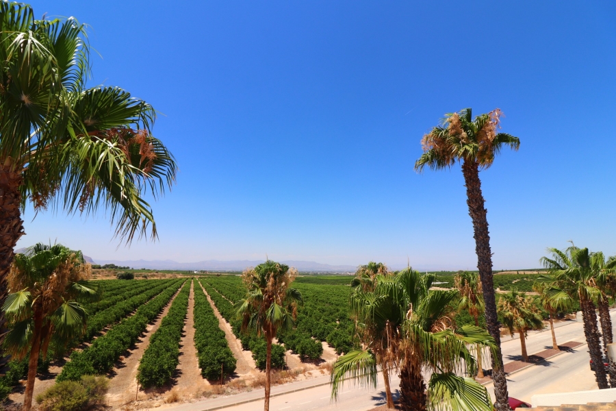 Re-Sale - Semi Detached Villa - Algorfa - La Finca Golf Resort