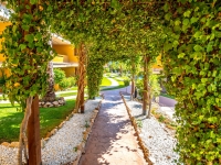 Re-Sale - Apartment - Orihuela Costa - Punta Prima