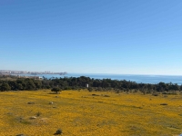 Re-Sale - Apartment - Orihuela Costa - Punta Prima