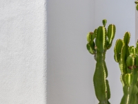 Nouveau - Villa - Los Alcazares - Los Alcázares