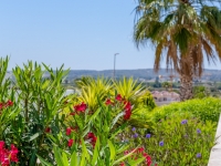 Re-Sale - Detached Villa - La Marina - La Marina - Urbanization