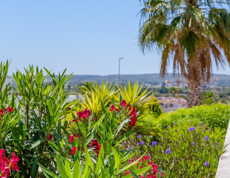 Re-Sale - Detached Villa - La Marina - La Marina - Urbanization