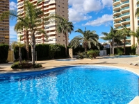 Nouveau - Appartement - Calp