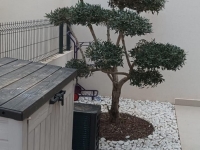 Re-Sale - Detached Villa - Algorfa - La Finca Golf Resort