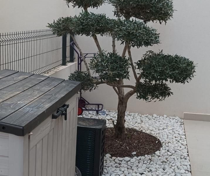 Re-Sale - Detached Villa - Algorfa - La Finca Golf Resort