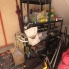 Re-Sale - Apartment - Orihuela Costa - Playa Flamenca