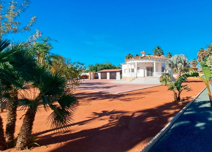 New - Country Property - Catral - Catral - Country