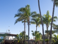 New - Detached Villa - San Pedro del Pinatar - San Pedro del Pinatar - Town