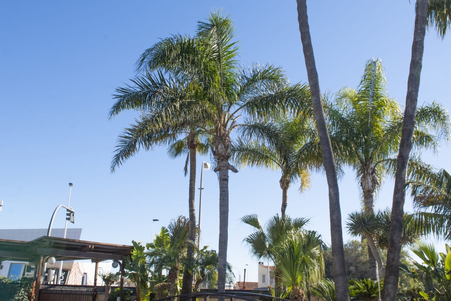 New - Detached Villa - San Pedro del Pinatar - San Pedro del Pinatar - Town