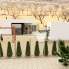 New - Detached Villa - Pinoso - Pinoso - Country