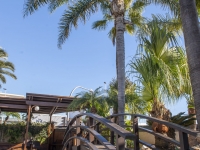 New - Detached Villa - San Pedro del Pinatar - San Pedro del Pinatar - Town