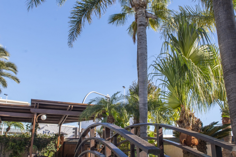 New - Detached Villa - San Pedro del Pinatar - San Pedro del Pinatar - Town