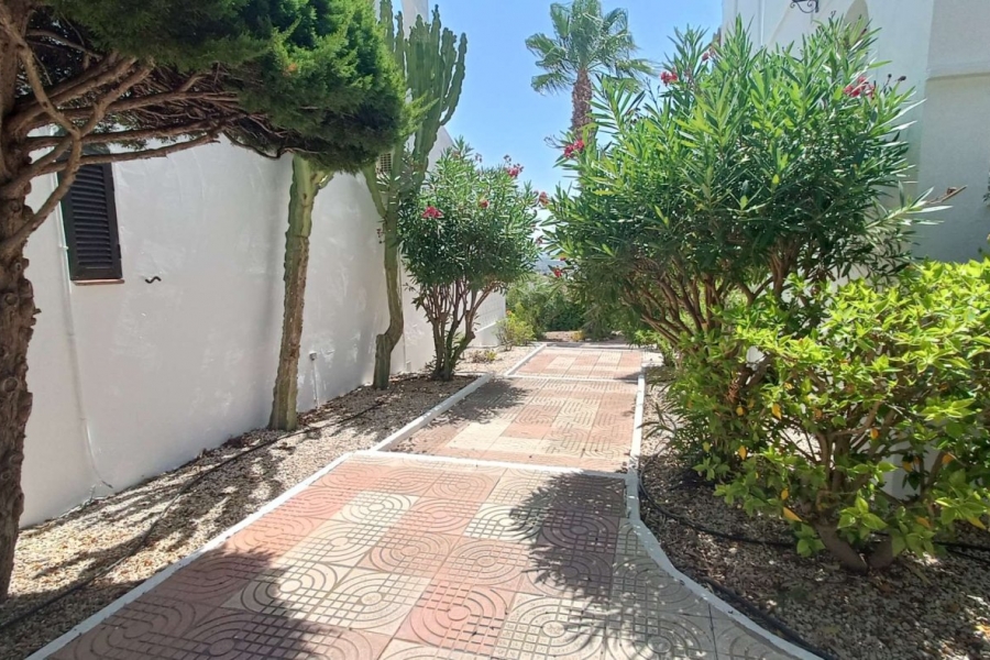 Re-Sale - Apartment - Ciudad Quesada - Altos de Quesada