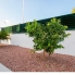 New - Detached Villa - La Marina - La Marina / El Pinet