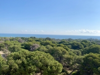 New - Apartment - Guardamar del Segura - Guardamar del Segura - Town