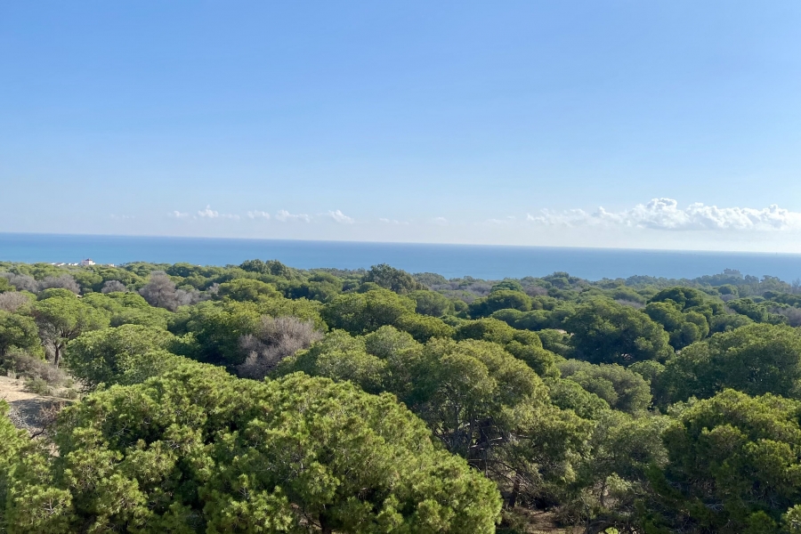 New - Apartment - Guardamar del Segura - Guardamar del Segura - Town