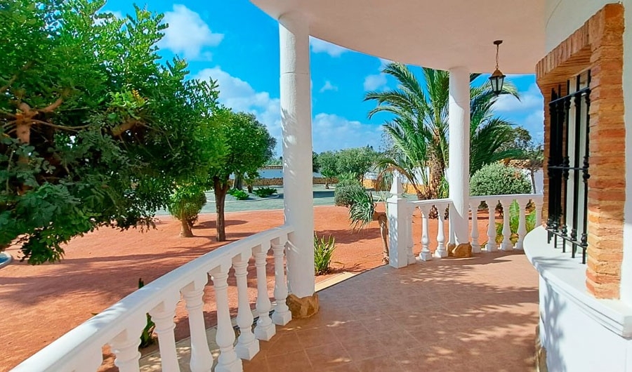 New - Country Property - Catral - Catral - Country