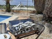 New - Townhouse - San Javier - San Javier - Town