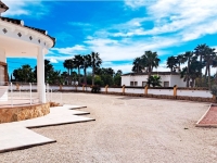 New - Country Property - Catral - Catral - Country