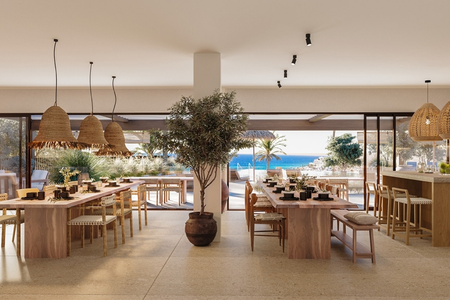 New - Apartment - Macenas