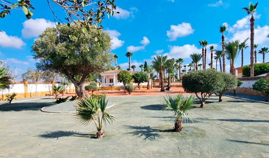 Re-Sale - Country Property - Catral - Catral - Country