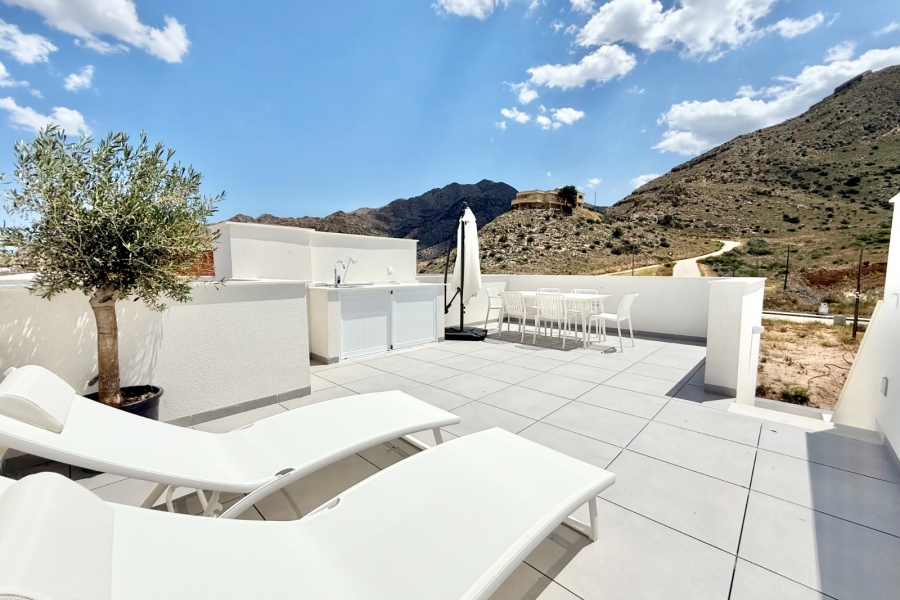 Nueva - Apartamento - Cox