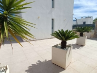 Re-Sale - Detached Villa - Algorfa - La Finca Golf Resort