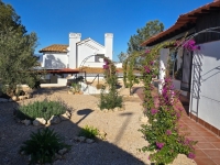 Re-Sale - Detached Villa - Fuente Alamo - Las Palas