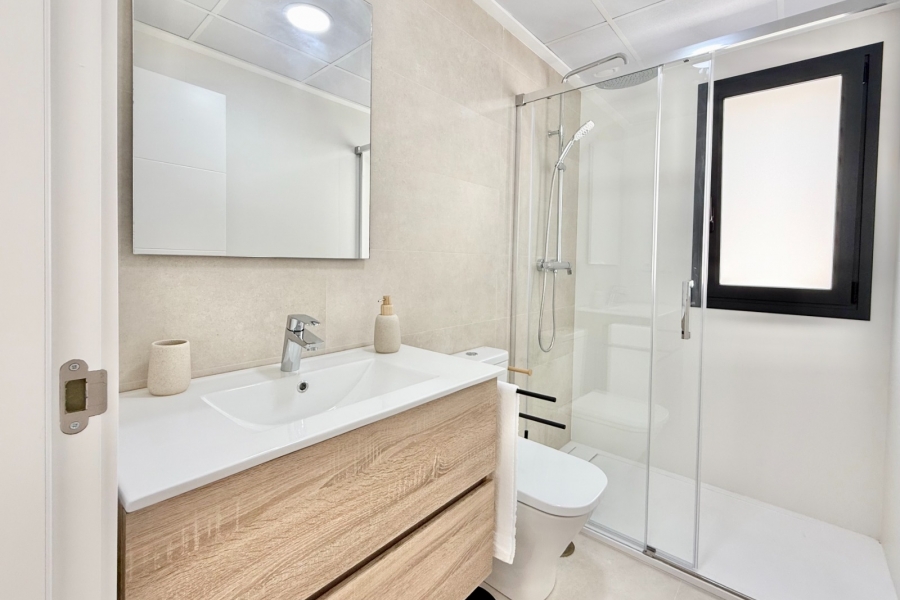 Nueva - Apartamento - Cox