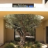New - Detached Villa - La Marina - La Escuera
