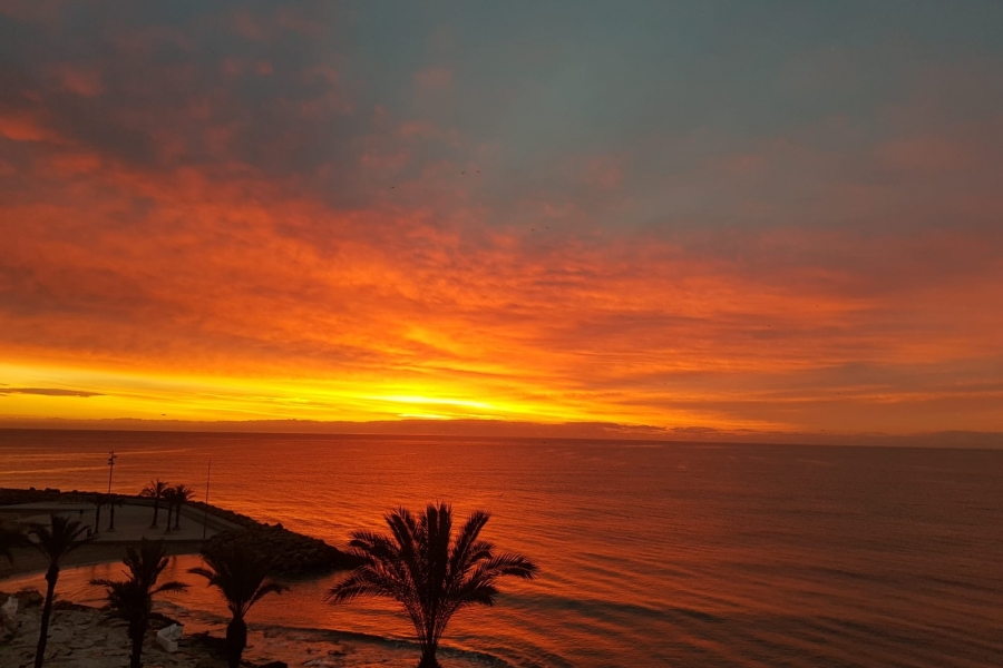 Re-Sale - Apartment - Torrevieja - Playa Del Cura