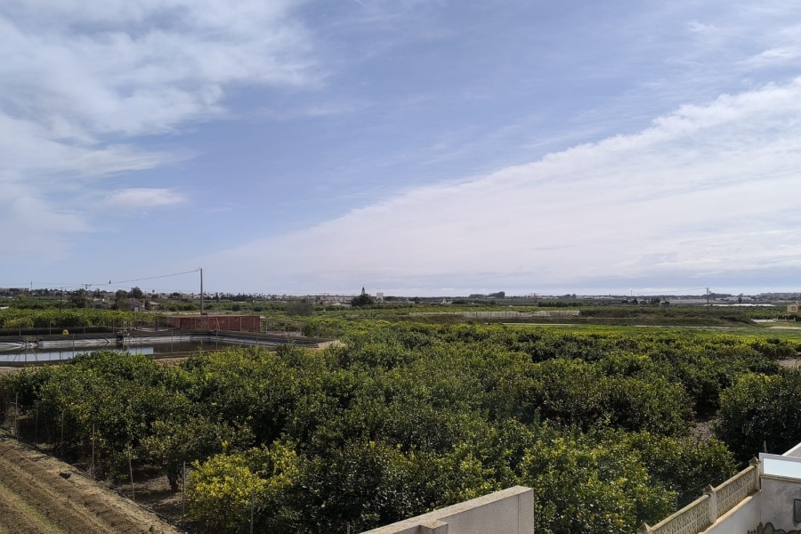 Re-Sale - Detached Villa - Guardamar del Segura - El Raso