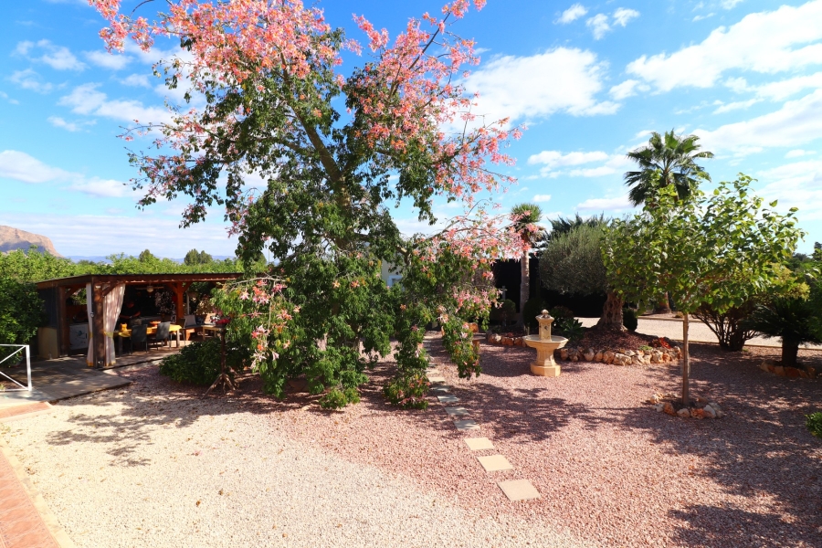 Videresalg - Land Eiendom - Orihuela - La Campaneta
