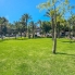 Re-Sale - Apartment - Orihuela Costa - Los Balcones