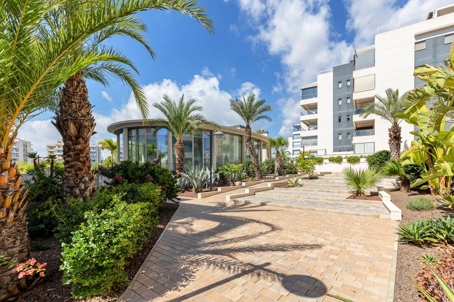 Re-Sale - Apartment - Orihuela Costa - Villamartin