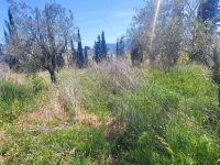 Re-Sale - Detached Villa - La Romana - La Romana - Country