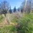 Re-Sale - Detached Villa - La Romana - La Romana - Country