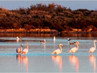 New - Detached Villa - San Pedro del Pinatar - San Pedro del Pinatar - Town