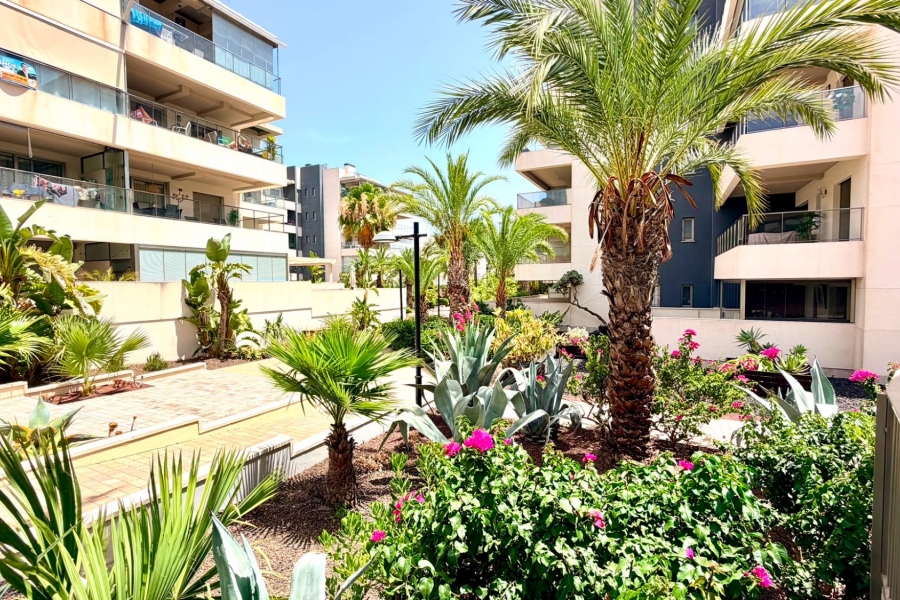 Re-Sale - Apartment - Orihuela Costa - La Zenia